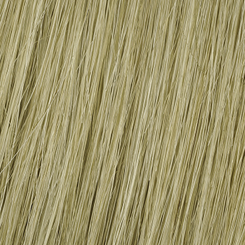 R14/88H Golden Wheat